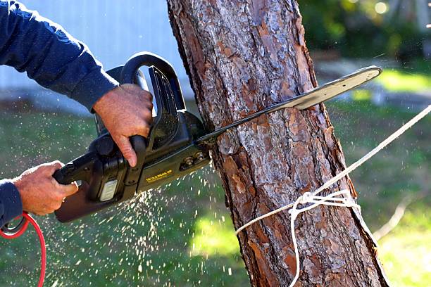 Lawn Irrigation Installation and Maintenance in Wyldwood, TX